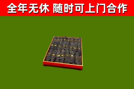 当阳回收海参